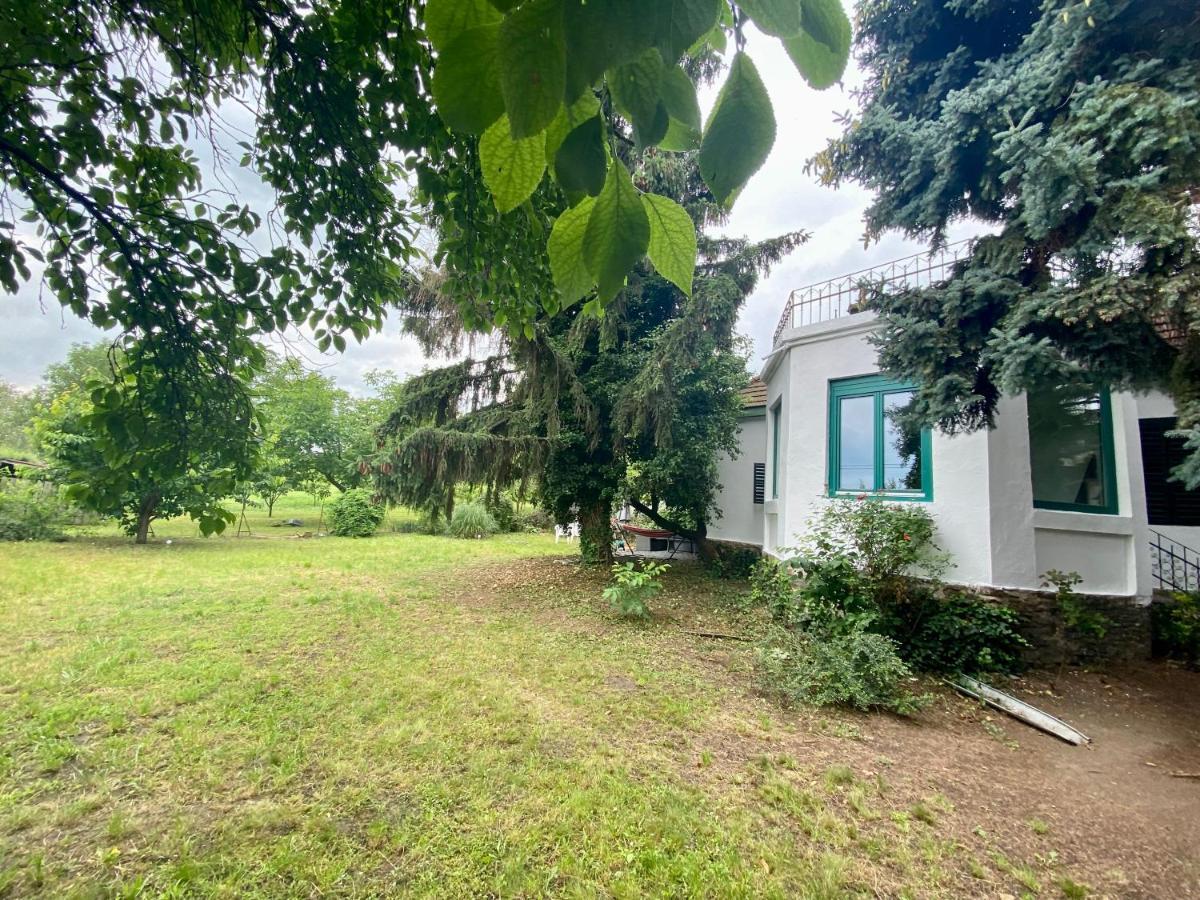 Villa Delibab Badacsonytomaj Exterior foto